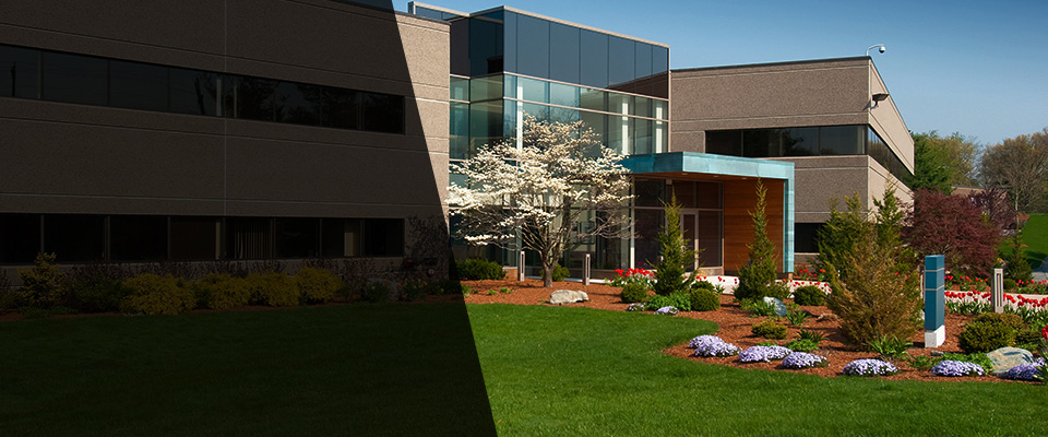 Bridgewater Landscapers