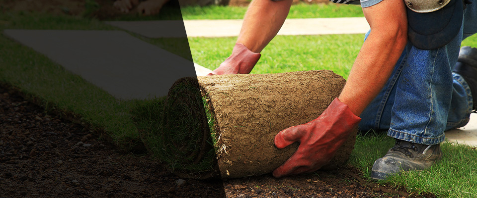 Bridgewater Landscapers